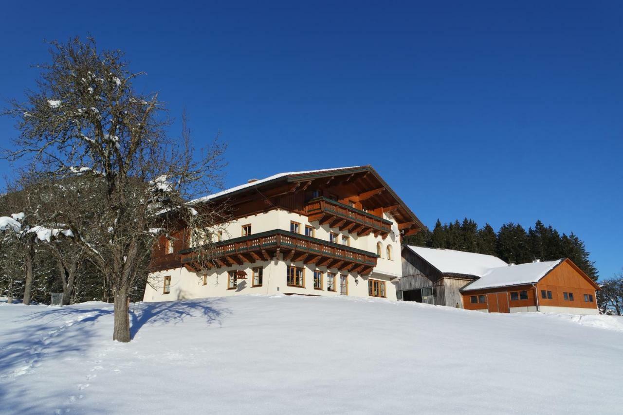 Gaestehaus Davidbauer Zewnętrze zdjęcie